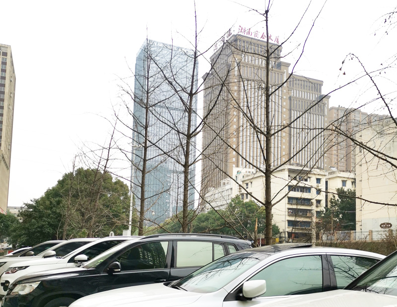 成功签定 湖南长沙债务调解中心 网站建设与站群优化合同
