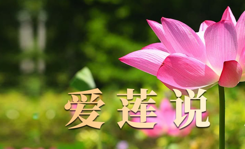 �ɹ�ǩ�� ����zdy�����޹�˾ ��վ�İ�������վ�Ż���ý�弰С��Ƶ��ͬ